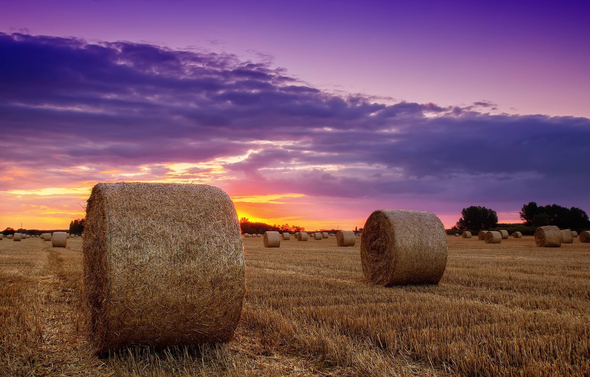 karatzis-shutterstock_108248621