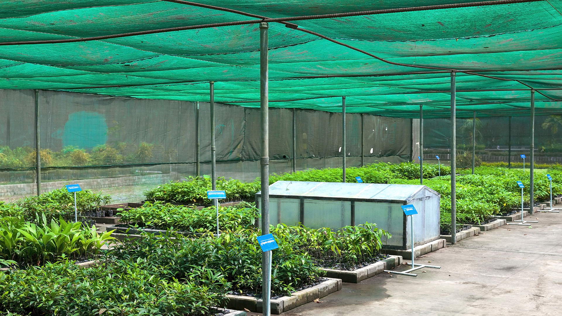 Rete per Protezione Solare da Giardino Rete Isolante per Piante da Fiore con Balcone Tasso di ombreggiamento del 95% HLF- Rete ombreggiante Coperta a spigoli vivi 